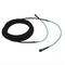 12Fibers 24Fibers MPO/MTP  SM MM 5.5mm Trunk Cable/Patch Cord