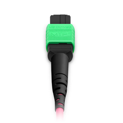 MTP Breakout Cable OM4 OFNP Fire Safety-Rated with 0.35dB Low IL for High-Speed Data Center Links