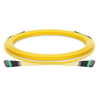 คุณภาพ สาย MTP กระเป๋าด้วย 0.35dB IL ต่ํา OFNP ปลอดภัยจากไฟเรทและ G657.A1 บึงเส้นใยที่ไม่รู้สึกต่อการเชื่อมต่อสายไฟฟ้าความหนาแน่นสูง โรงงาน