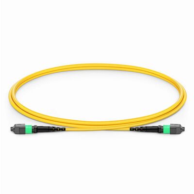 คุณภาพ สาย MPO Jumper Cable ด้วย IL ต่ํา 0.35dB สําหรับ 800G QSFP-DD Transceivers และ G657.A1 ผันเส้นใยที่ไม่รู้สึก โรงงาน